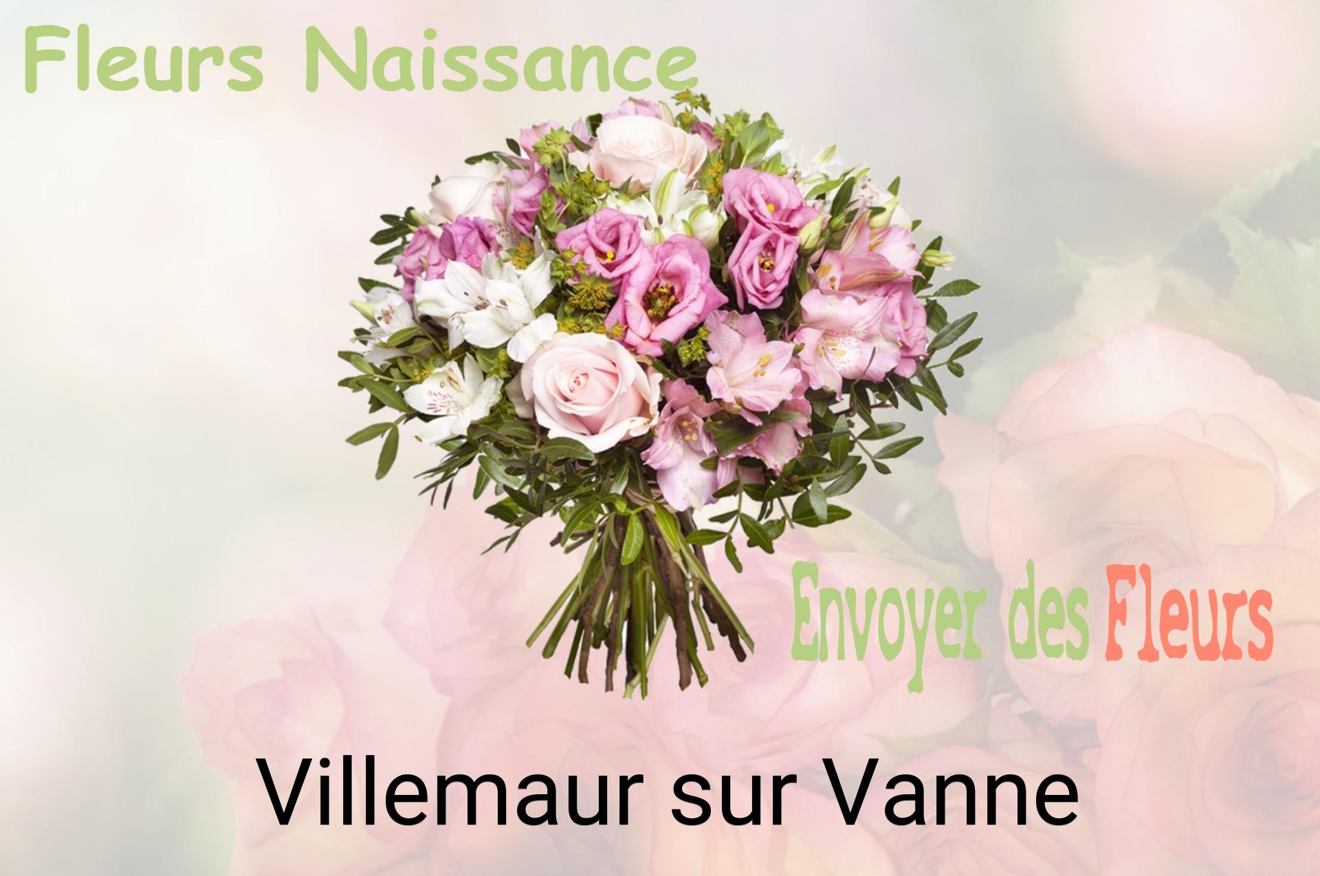 Bouquet de fleurs de naissance livré à Villemaur-sur-Vanne