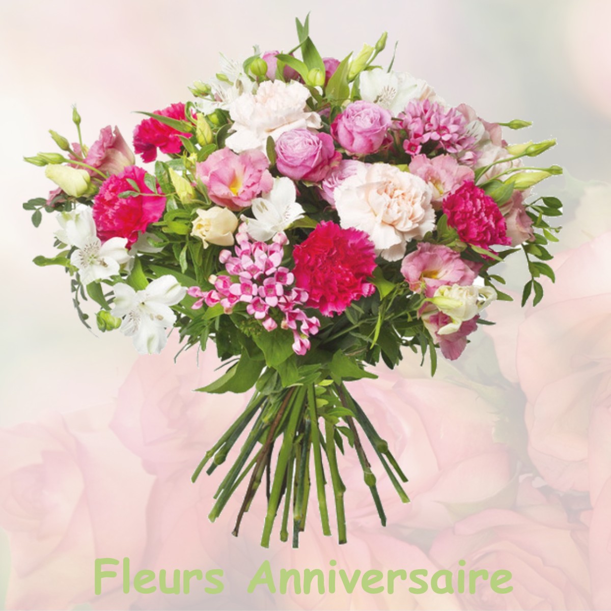 fleurs anniversaire VILLEMAUR-SUR-VANNE